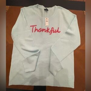 Talbots Light Blue Sweater with Red Accent